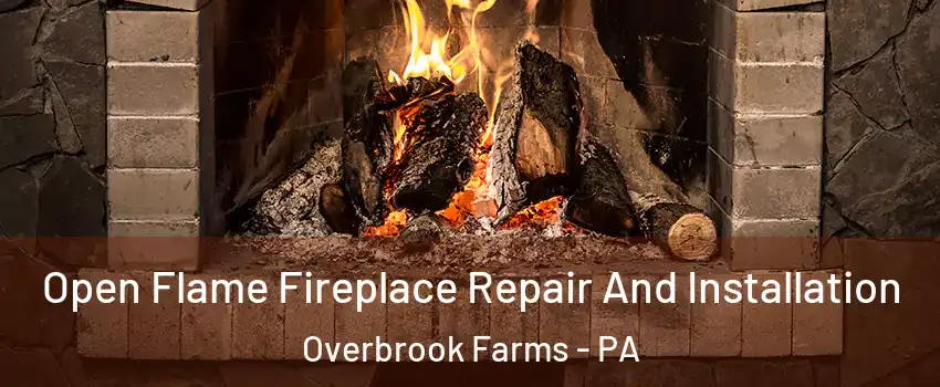 Open Flame Fireplace Repair And Installation Overbrook Farms - PA