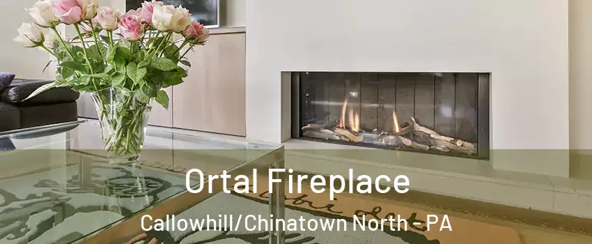 Ortal Fireplace Callowhill/Chinatown North - PA