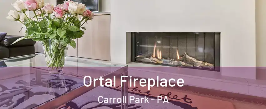 Ortal Fireplace Carroll Park - PA