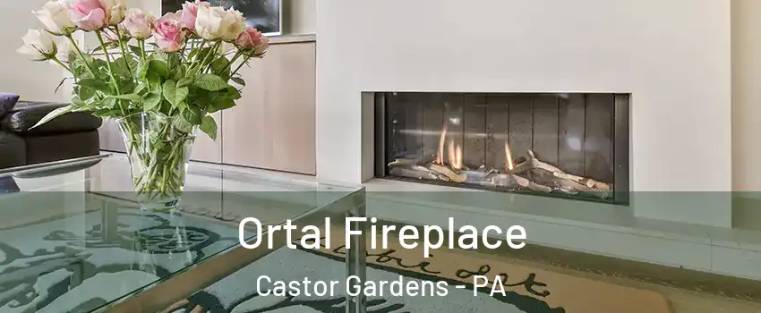 Ortal Fireplace Castor Gardens - PA