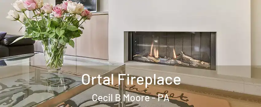 Ortal Fireplace Cecil B Moore - PA