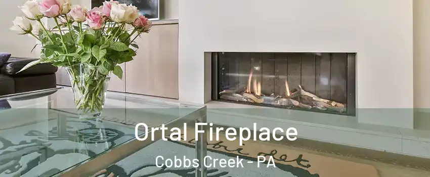 Ortal Fireplace Cobbs Creek - PA