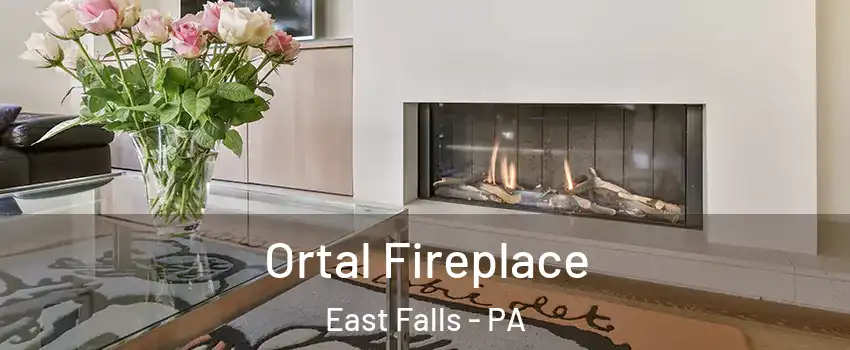 Ortal Fireplace East Falls - PA