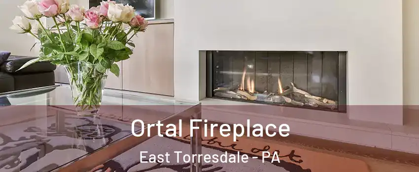 Ortal Fireplace East Torresdale - PA