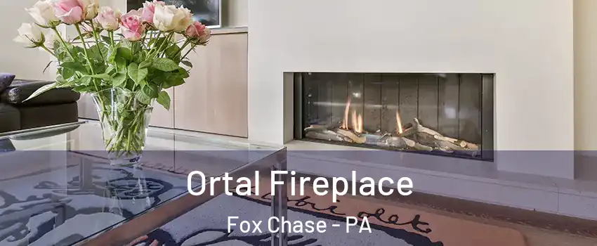 Ortal Fireplace Fox Chase - PA