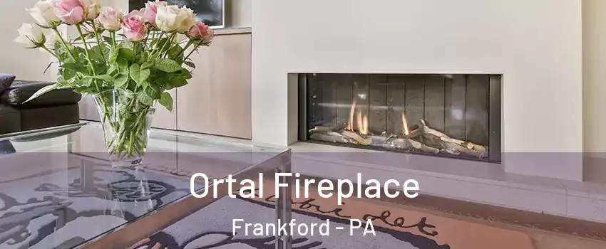 Ortal Fireplace Frankford - PA