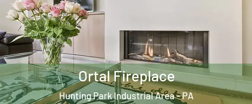 Ortal Fireplace Hunting Park Industrial Area - PA
