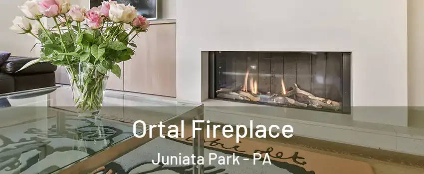 Ortal Fireplace Juniata Park - PA
