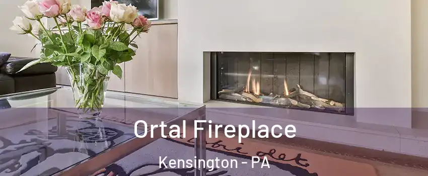 Ortal Fireplace Kensington - PA