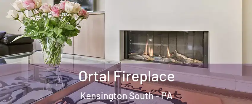 Ortal Fireplace Kensington South - PA