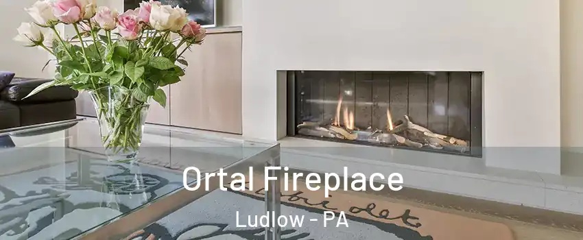 Ortal Fireplace Ludlow - PA