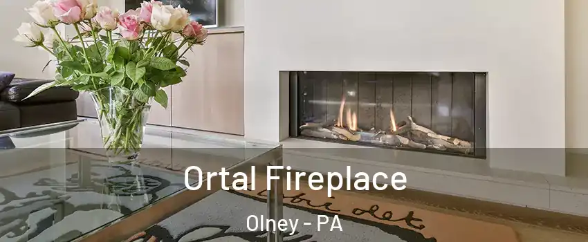 Ortal Fireplace Olney - PA