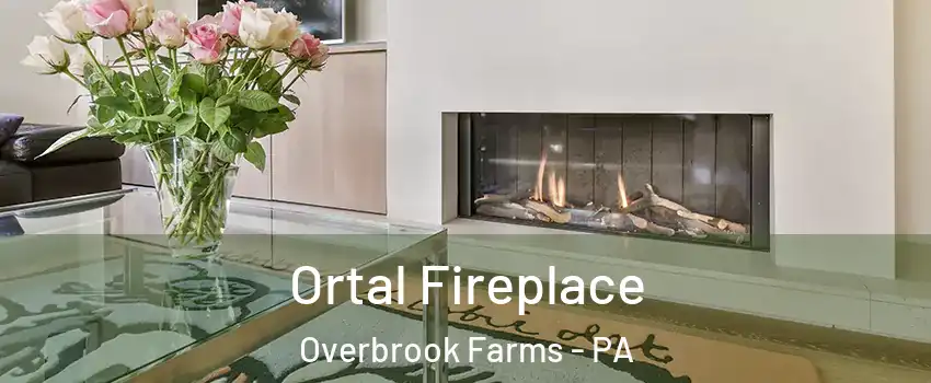 Ortal Fireplace Overbrook Farms - PA