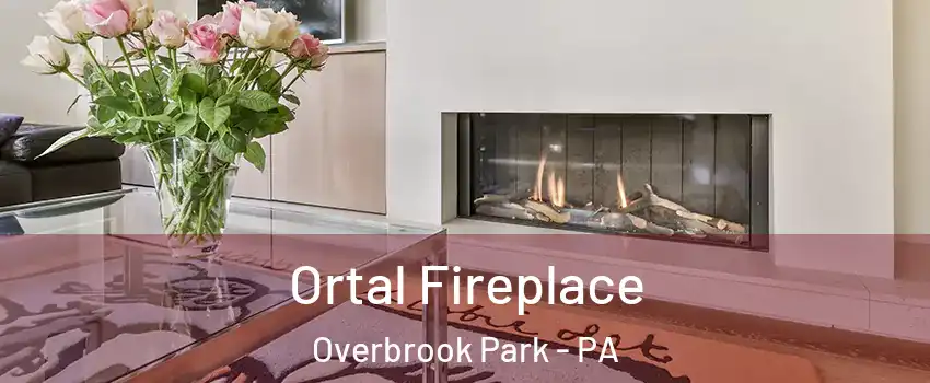 Ortal Fireplace Overbrook Park - PA