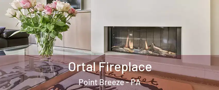 Ortal Fireplace Point Breeze - PA