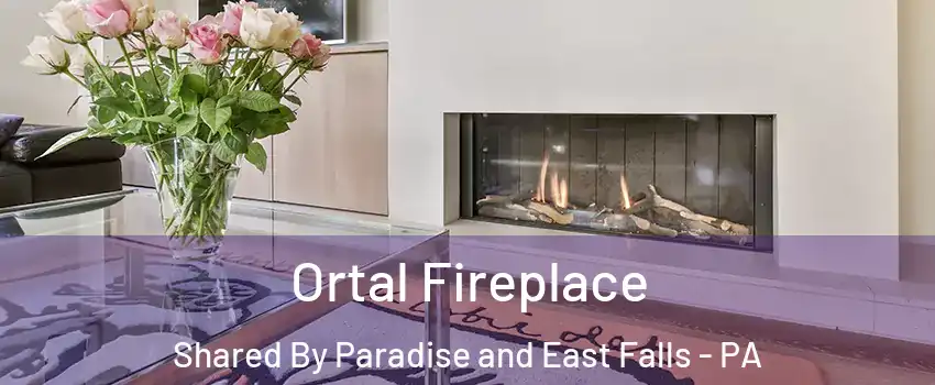 Ortal Fireplace Shared By Paradise and East Falls - PA