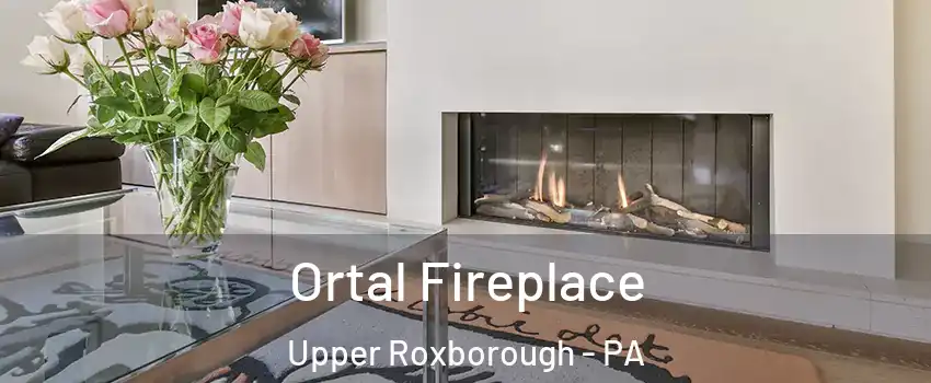 Ortal Fireplace Upper Roxborough - PA