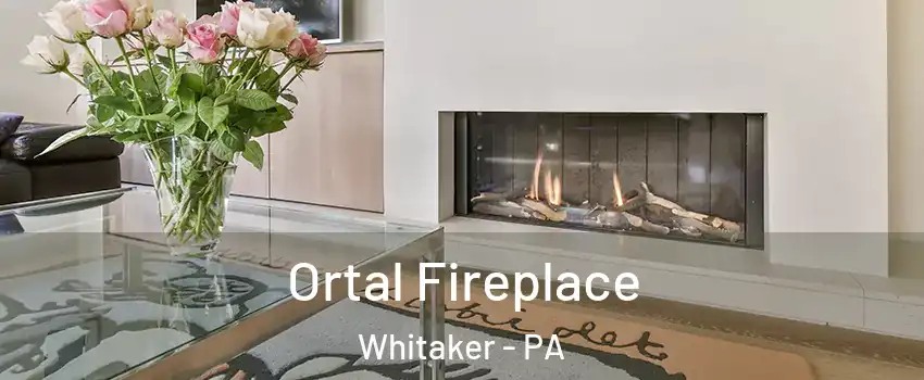 Ortal Fireplace Whitaker - PA