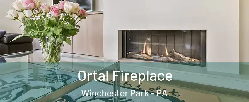Ortal Fireplace Winchester Park - PA
