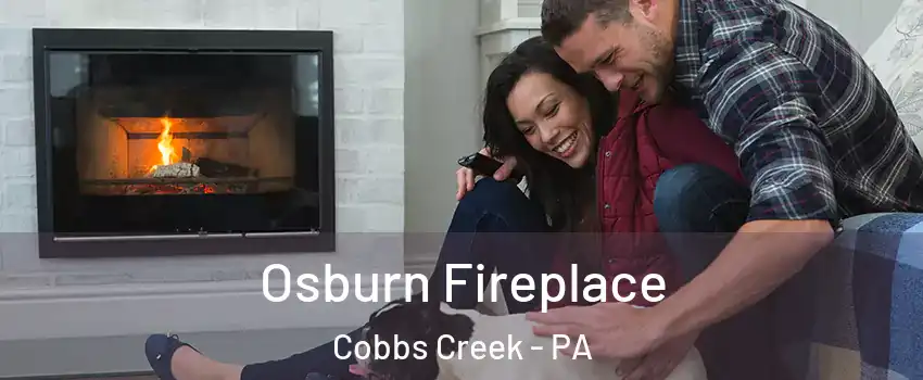 Osburn Fireplace Cobbs Creek - PA