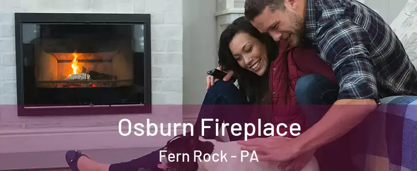 Osburn Fireplace Fern Rock - PA