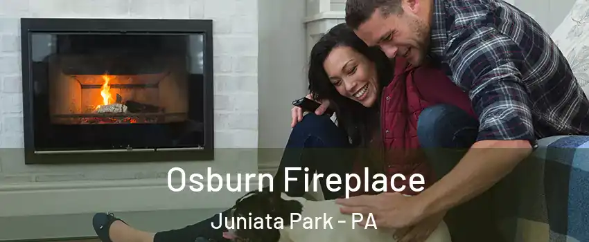 Osburn Fireplace Juniata Park - PA