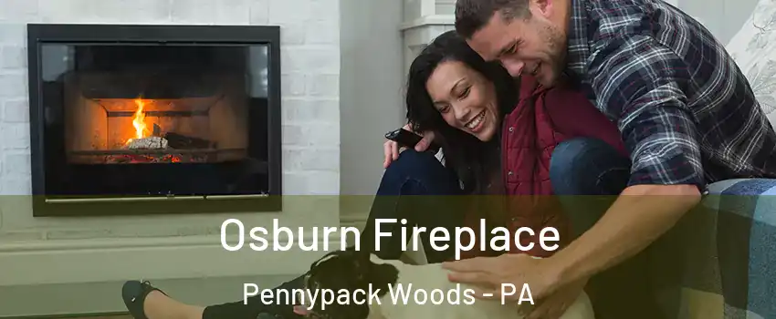 Osburn Fireplace Pennypack Woods - PA
