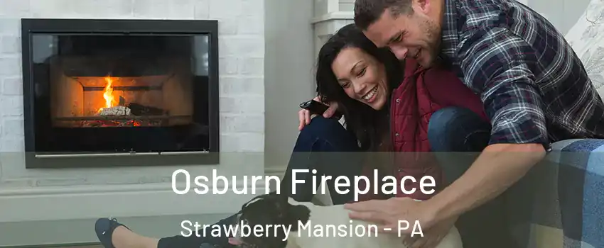 Osburn Fireplace Strawberry Mansion - PA