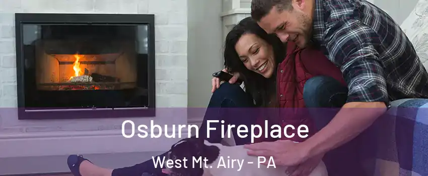 Osburn Fireplace West Mt. Airy - PA