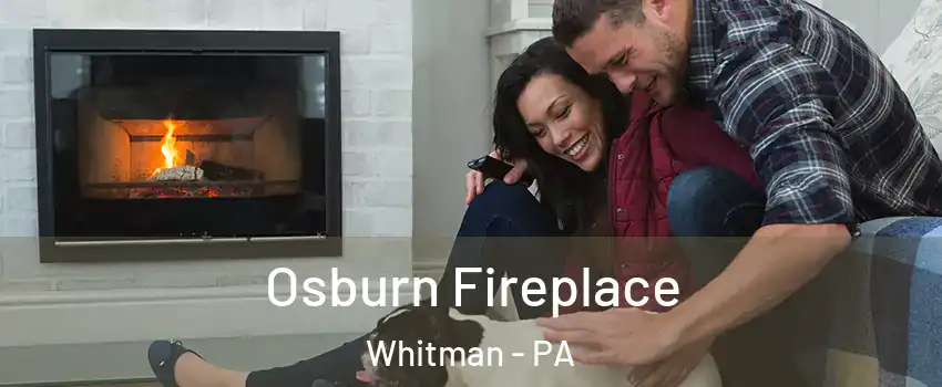 Osburn Fireplace Whitman - PA