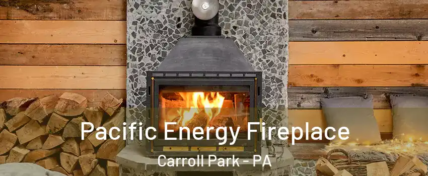 Pacific Energy Fireplace Carroll Park - PA