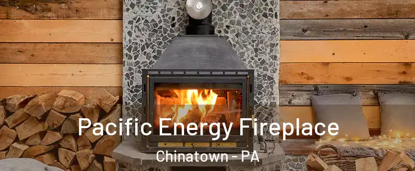 Pacific Energy Fireplace Chinatown - PA