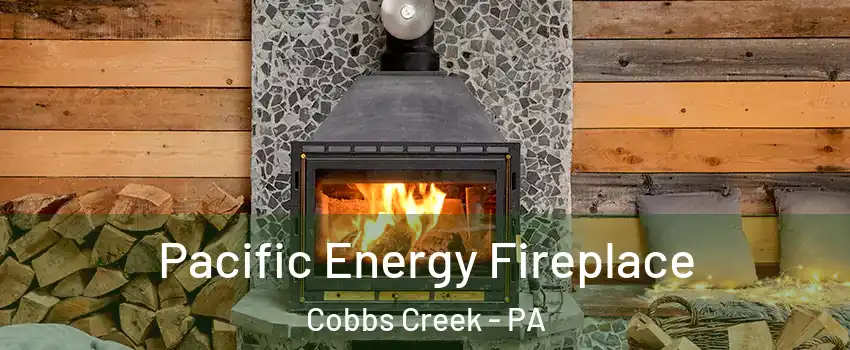 Pacific Energy Fireplace Cobbs Creek - PA