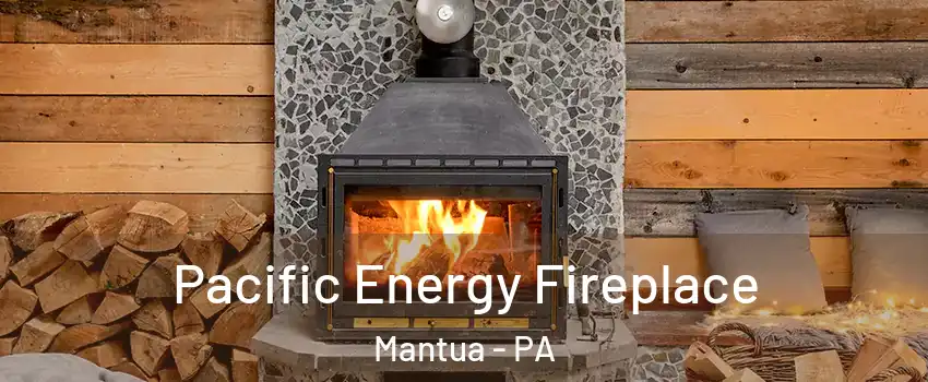 Pacific Energy Fireplace Mantua - PA