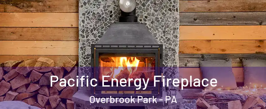 Pacific Energy Fireplace Overbrook Park - PA