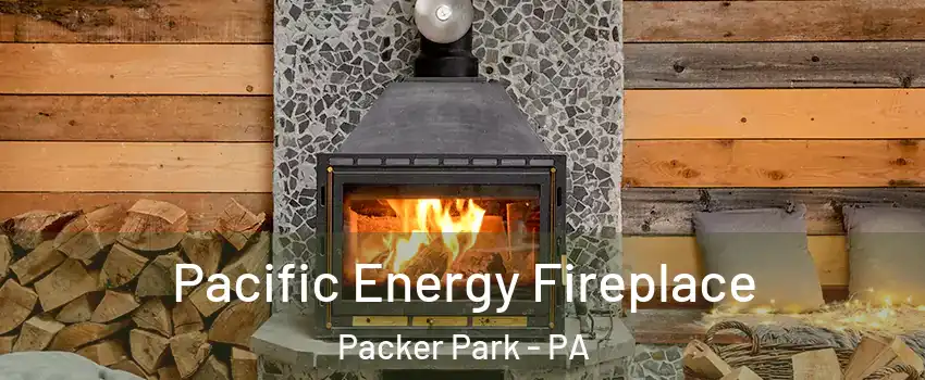 Pacific Energy Fireplace Packer Park - PA