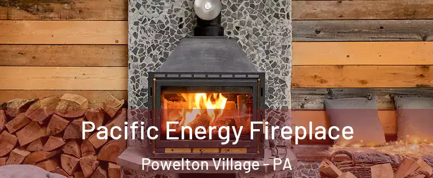 Pacific Energy Fireplace Powelton Village - PA