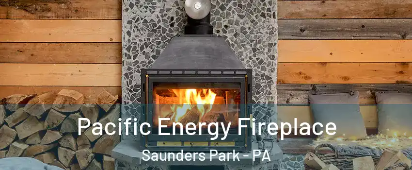 Pacific Energy Fireplace Saunders Park - PA