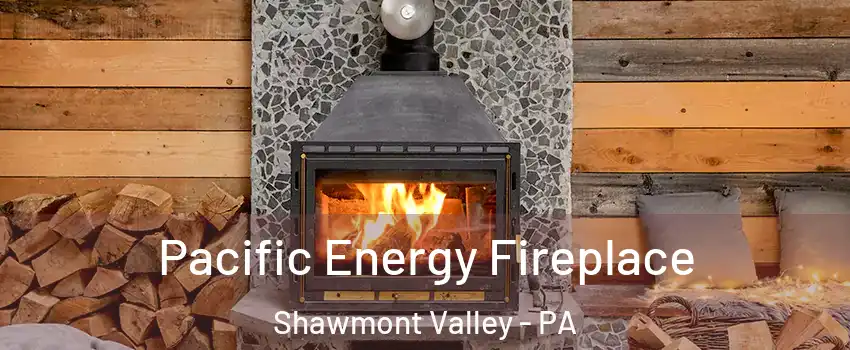 Pacific Energy Fireplace Shawmont Valley - PA