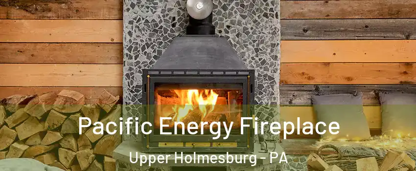 Pacific Energy Fireplace Upper Holmesburg - PA