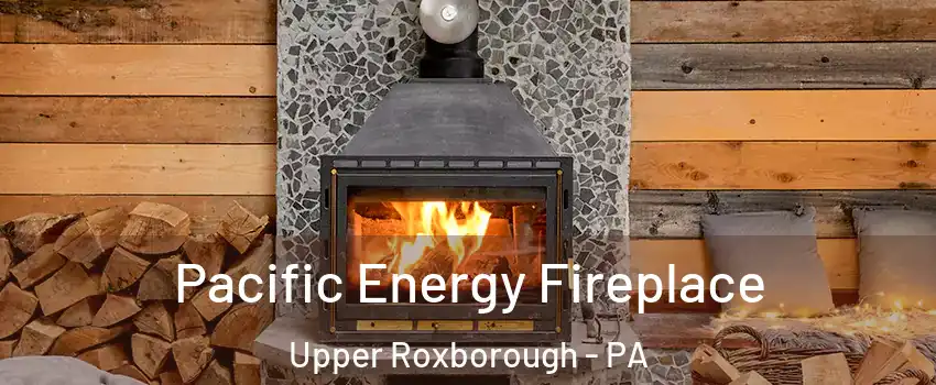Pacific Energy Fireplace Upper Roxborough - PA