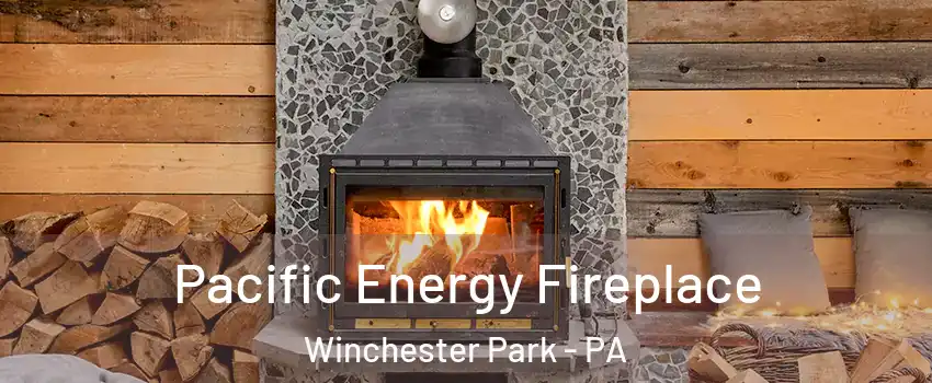 Pacific Energy Fireplace Winchester Park - PA