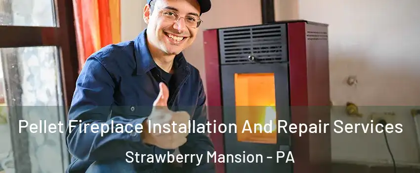 Pellet Fireplace Installation And Repair Services Strawberry Mansion - PA