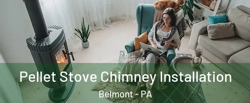 Pellet Stove Chimney Installation Belmont - PA