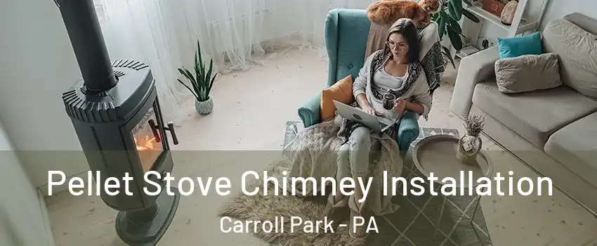 Pellet Stove Chimney Installation Carroll Park - PA