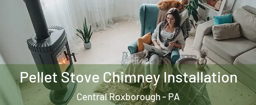 Pellet Stove Chimney Installation Central Roxborough - PA