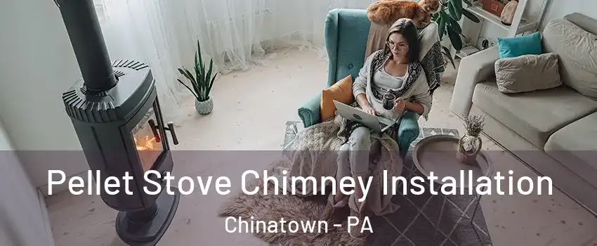 Pellet Stove Chimney Installation Chinatown - PA