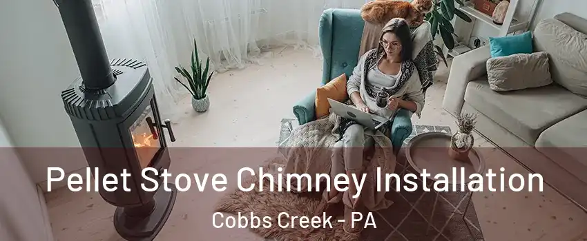 Pellet Stove Chimney Installation Cobbs Creek - PA
