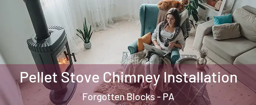 Pellet Stove Chimney Installation Forgotten Blocks - PA