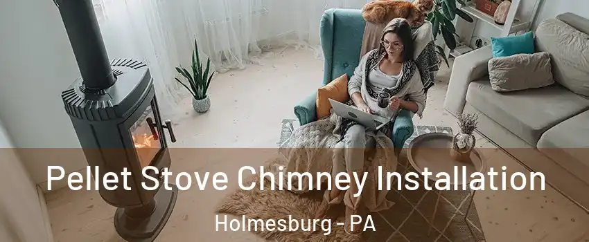 Pellet Stove Chimney Installation Holmesburg - PA